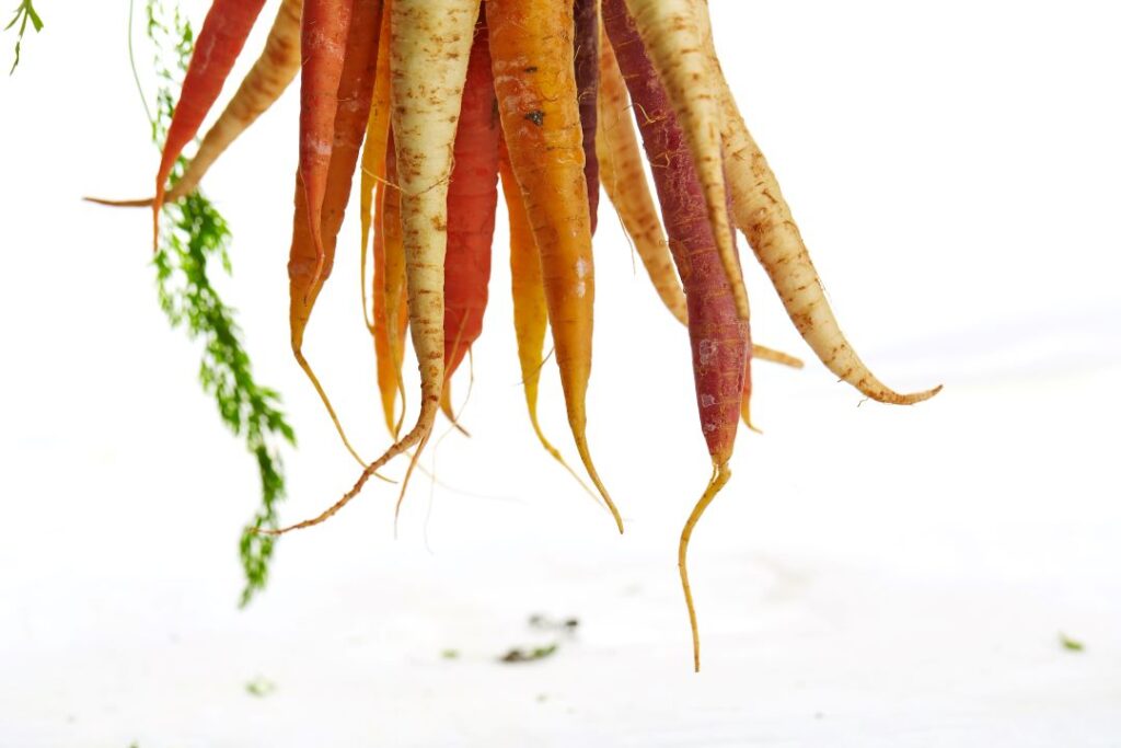 white carrots